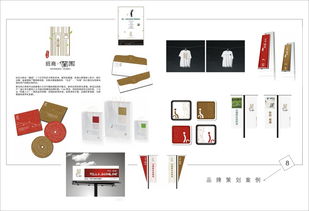 廣告策劃與軟件開(kāi)發(fā) 從樣本畫(huà)冊(cè)到影視片的全方位服務(wù)